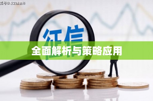 胶州全面解析与策略应用