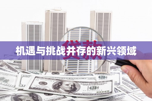 胶州机遇与挑战并存的新兴领域