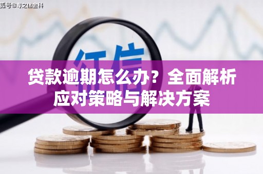 胶州贷款逾期怎么办？全面解析应对策略与解决方案