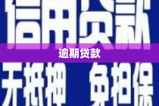 胶州逾期贷款