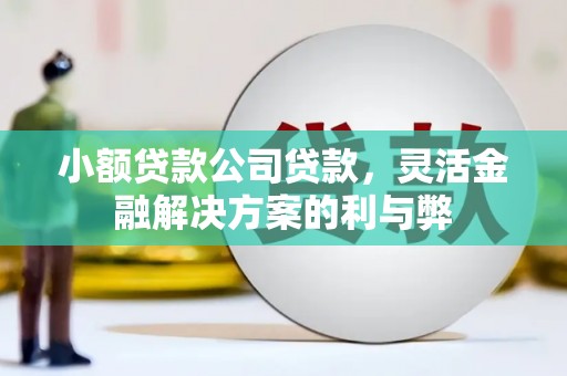 胶州小额贷款公司贷款，灵活金融解决方案的利与弊
