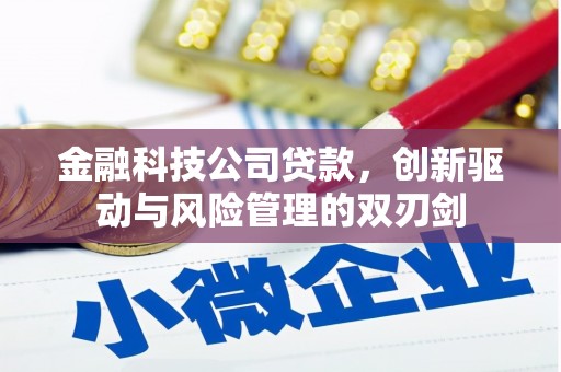 胶州金融科技公司贷款，创新驱动与风险管理的双刃剑